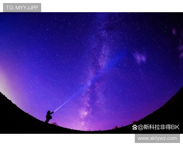 星空官网入口：星空官网入口的官方渠道及其安全性分析