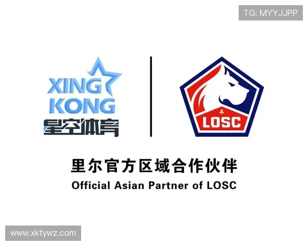 星空体育app官方下载图标：丰富多样的高清图标资源推荐