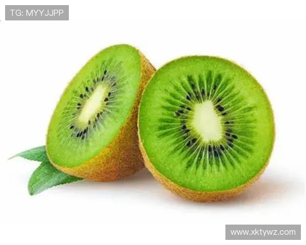 星空体育手机登录流程详解与常见问题解决方案